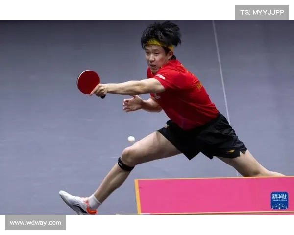 2016吉隆坡世乒赛男单决赛