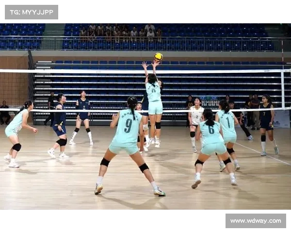 2018年排球世界锦标赛各国队伍非凡技艺创造难忘历史时刻