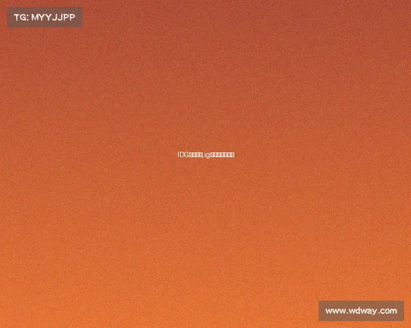 IDG汽车赛事,ig赛车是正规的吗