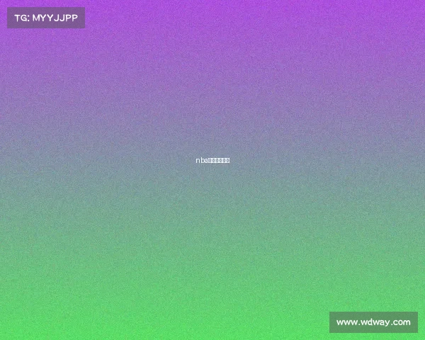 nba季候赛对阵图