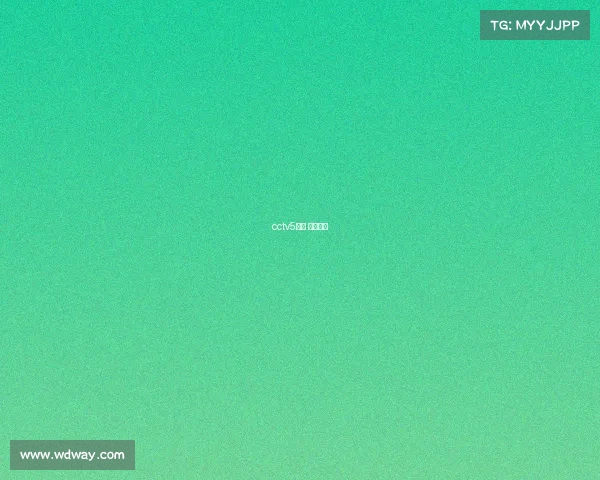 cctv5回放 视频回放