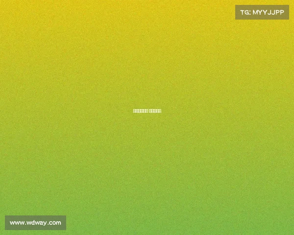 排球赛事构成 排球赛赛制