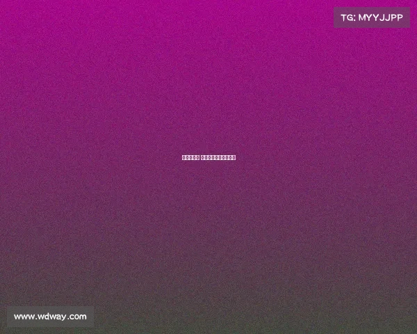 斯巴达赛事 深圳—斯巴达国际赛事