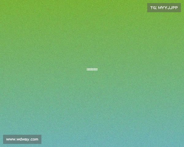 沙漠越野车项目